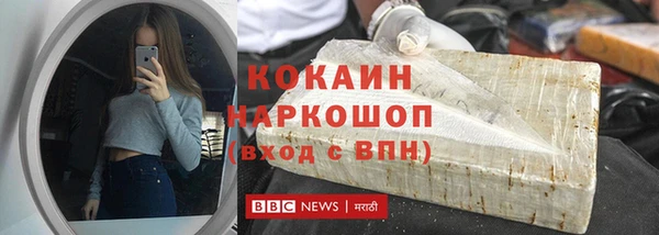гидра Новодвинск