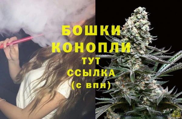 MESCALINE Аркадак