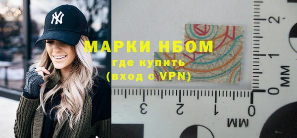 гидра Новодвинск