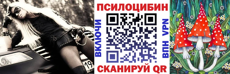 где найти наркотики  Бабаево  Галлюциногенные грибы Magic Shrooms 